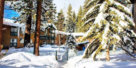 Forest Suites Resort