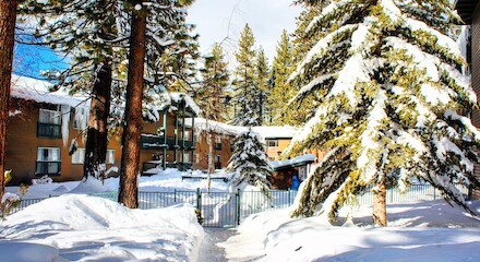 Forest Suites Resort