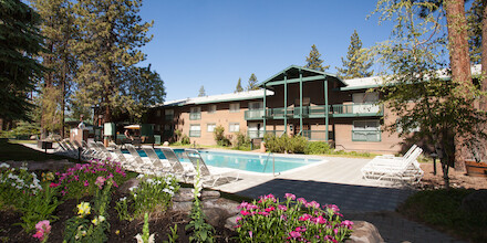 Complejo Forestal Suites