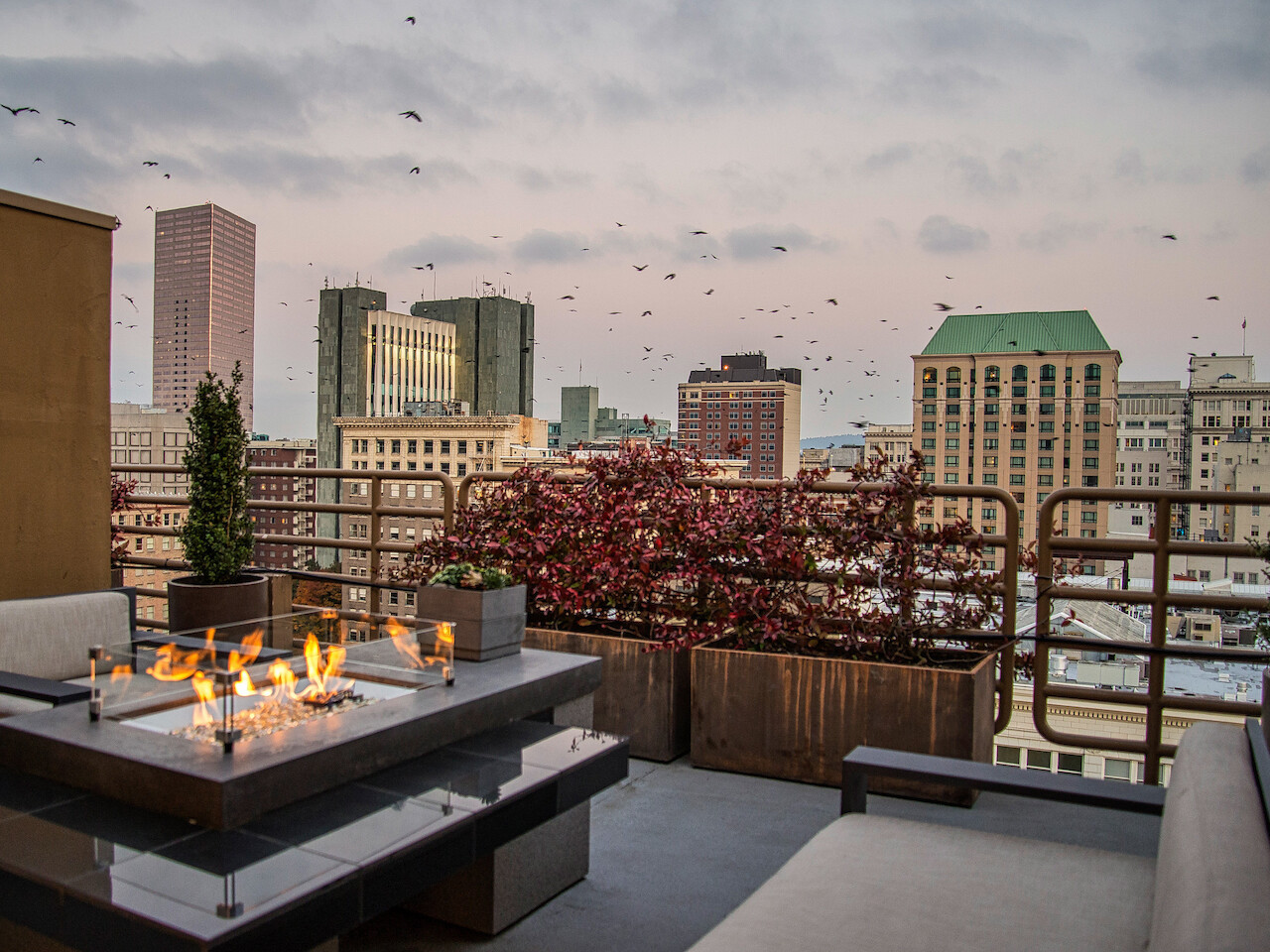 A rooftop patio with seating and a fire pit, surrounded by urban buildings and a sky with flying birds at twilight, is shown in the image.