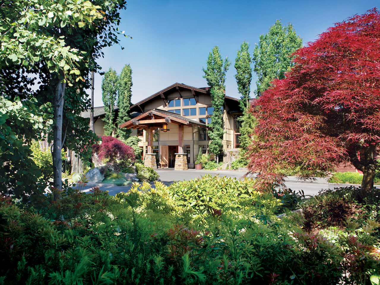 A modern house with large windows surrounded by lush greenery and trees, including a red maple, under a clear blue sky.