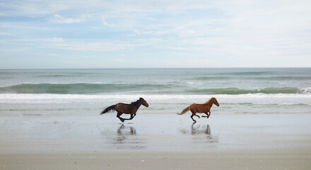 Two horses are running on a beach with the ocean waves in the background.