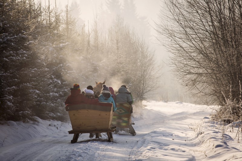 A group of people are on a horse-drawn sleigh traveling through a snowy, forested path on a misty day.