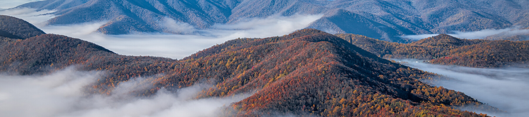 A serene landscape with rolling mountains covered in autumn foliage, blanketed by a layer of fog under a clear blue sky.