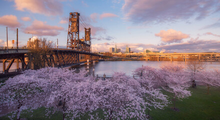 This image shows a riverside park with blooming cherry blossom trees, a steel bridge, and a skyline in the background under a beautiful sky.