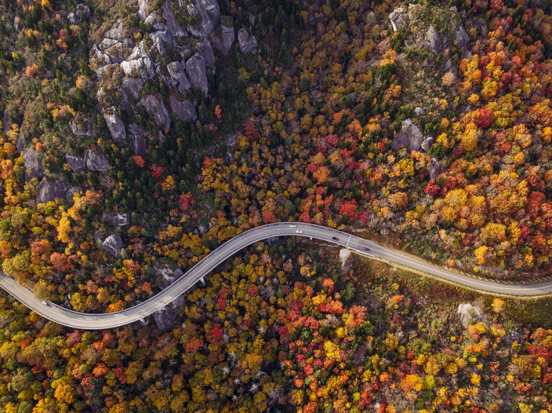 An aerial view of a winding road cutting through a forest in autumn, with the foliage displaying a mix of vibrant red, orange, yellow, and green hues.