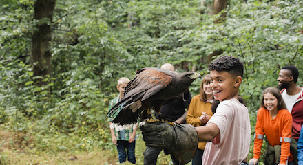 A group of people, including children, are in the woods. One child is holding a bird of prey on their gloved hand, while others watch and smile.