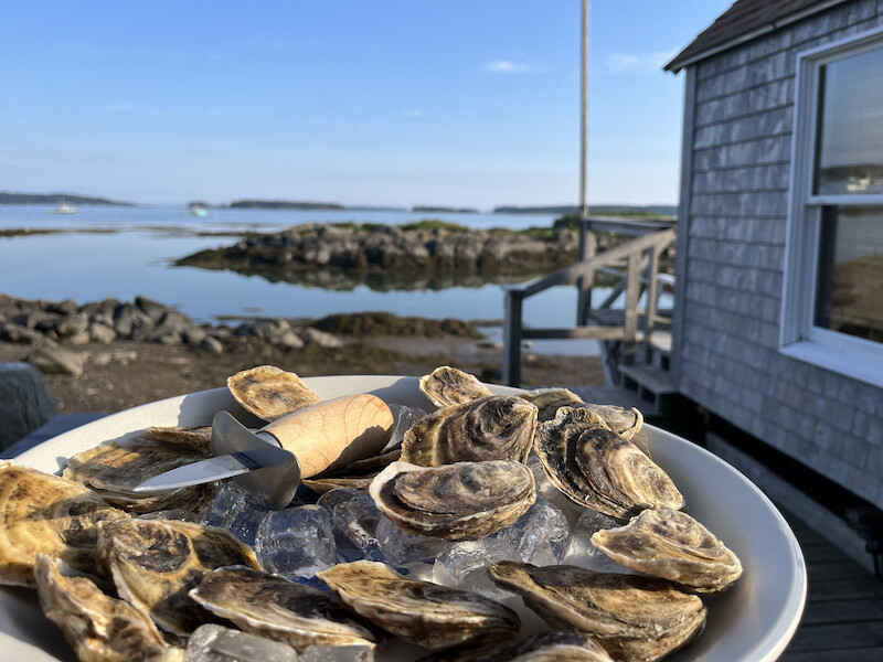 A bowl of oysters on ice sits near a seaside cottage, with a rocky shoreline and calm water in the background, under a clear blue sky.