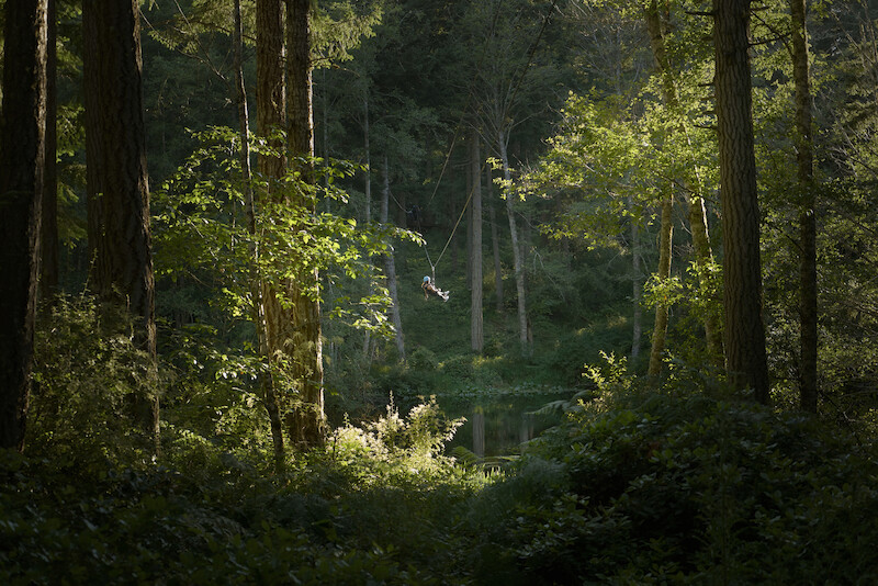 A person swings on a rope in the middle of a lush, sun-lit forest with thick trees and dense greenery in the background.