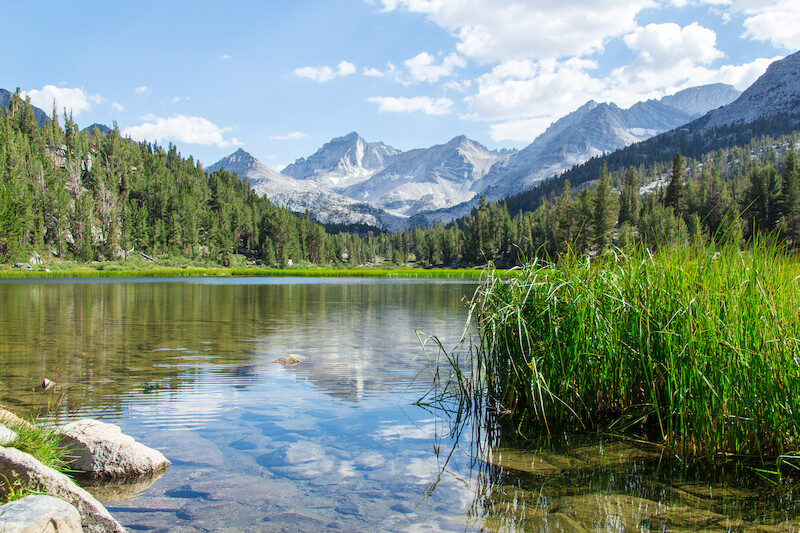 A serene lake with clear water, surrounded by lush green grass, tall trees, and majestic mountains under a partly cloudy sky.