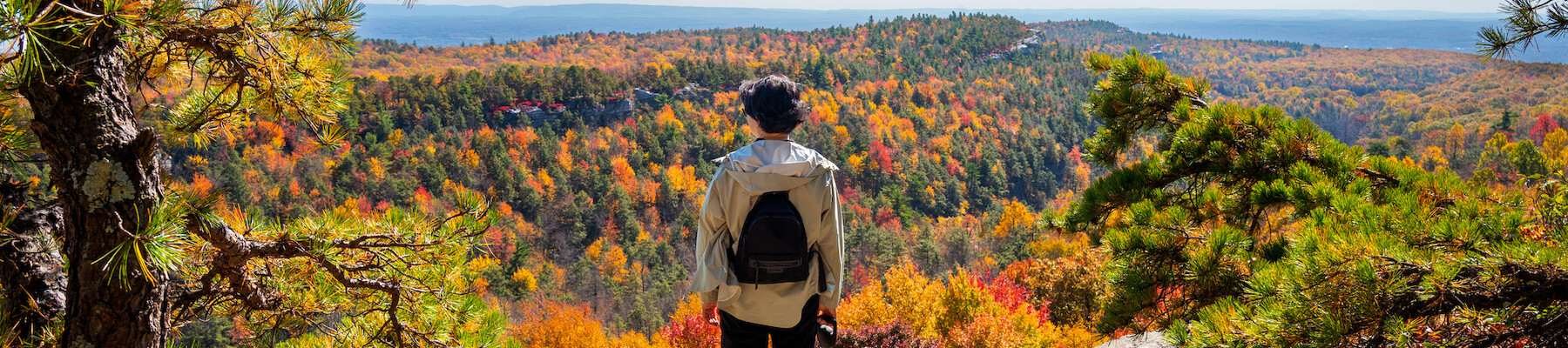 A person with a backpack stands on a scenic overlook with a dog, gazing at a vibrant autumn forest under a clear blue sky.