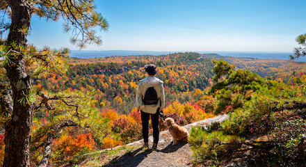 A person with a backpack stands on a scenic overlook with a dog, gazing at a vibrant autumn forest under a clear blue sky.